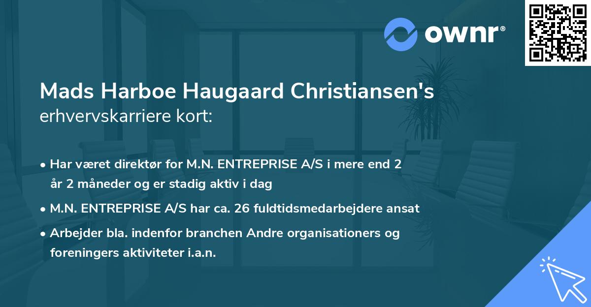 Mads Harboe Haugaard Christiansen's erhvervskarriere kort