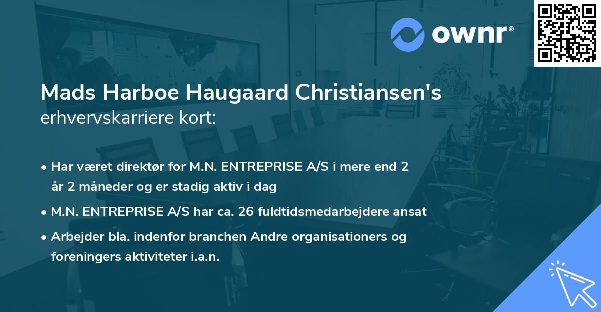 Mads Harboe Haugaard Christiansen's erhvervskarriere kort