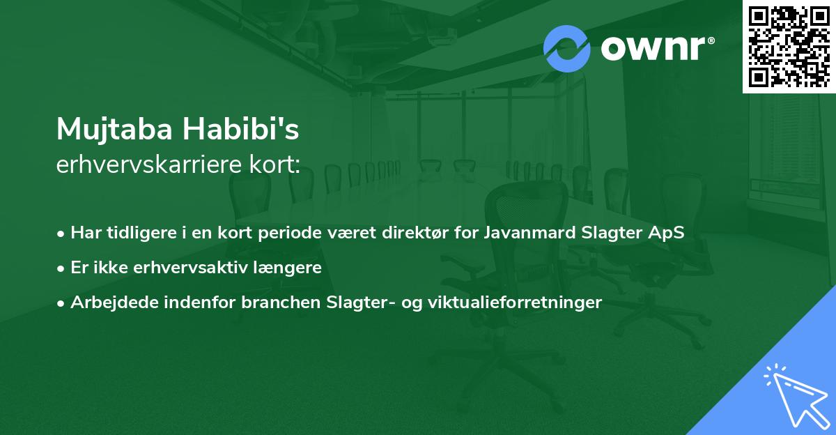 Mujtaba Habibi's erhvervskarriere kort