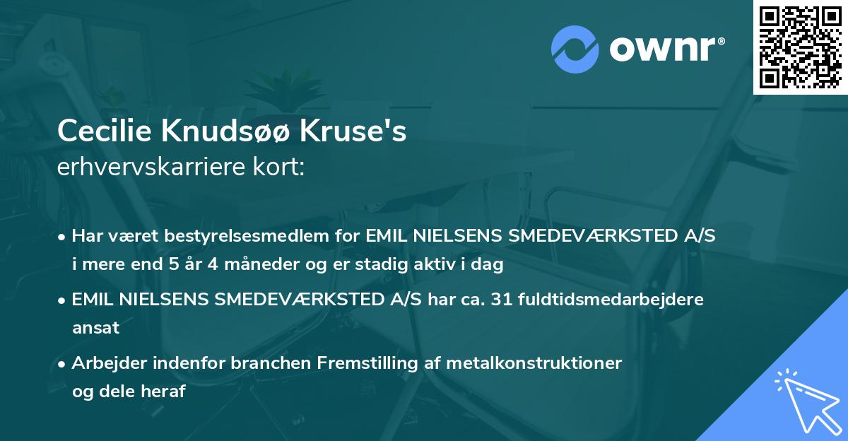 Cecilie Knudsøø Kruse's erhvervskarriere kort