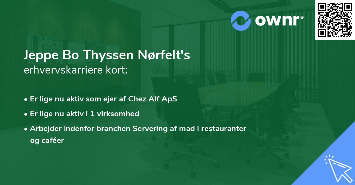 Jeppe Bo Thyssen Nørfelt's erhvervskarriere kort