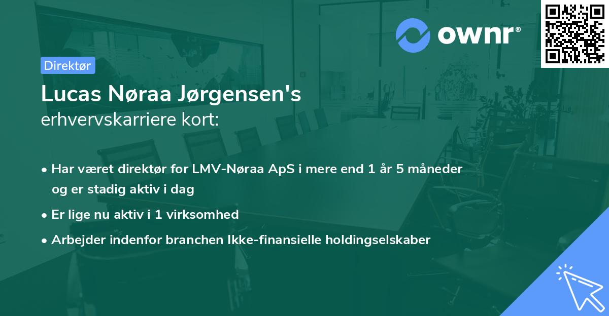 Lucas Nøraa Jørgensen's erhvervskarriere kort