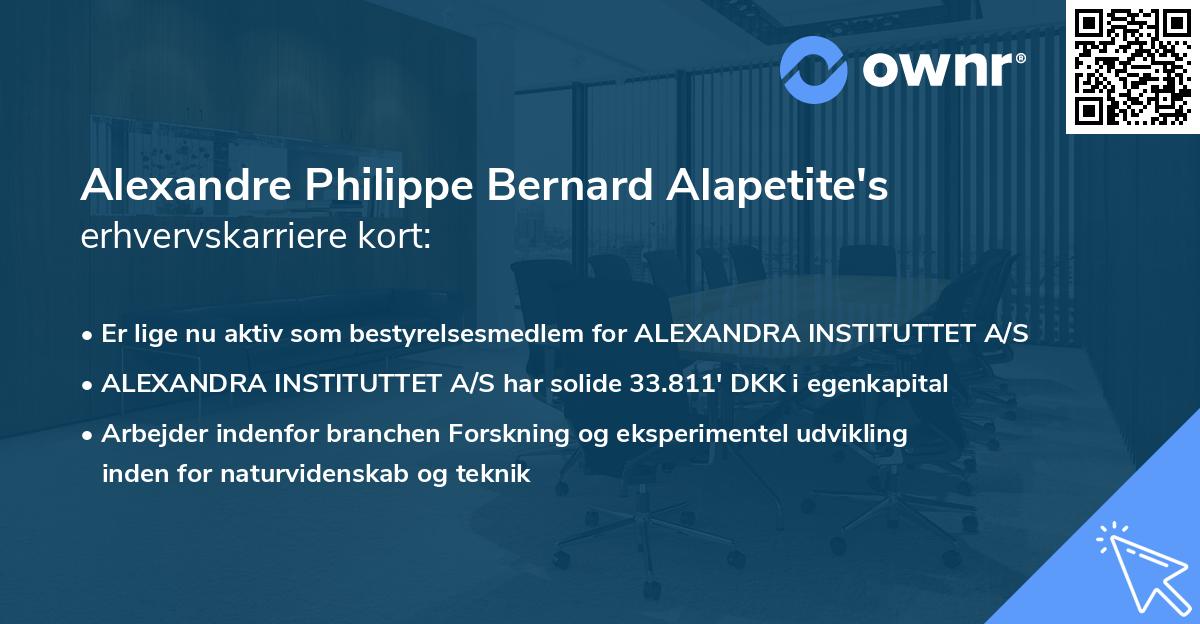 Alexandre Philippe Bernard Alapetite's erhvervskarriere kort