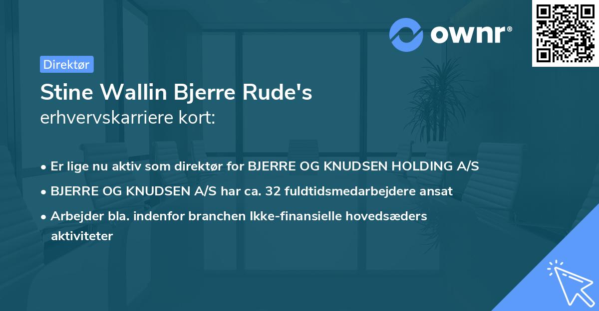 Stine Wallin Bjerre Rude's erhvervskarriere kort