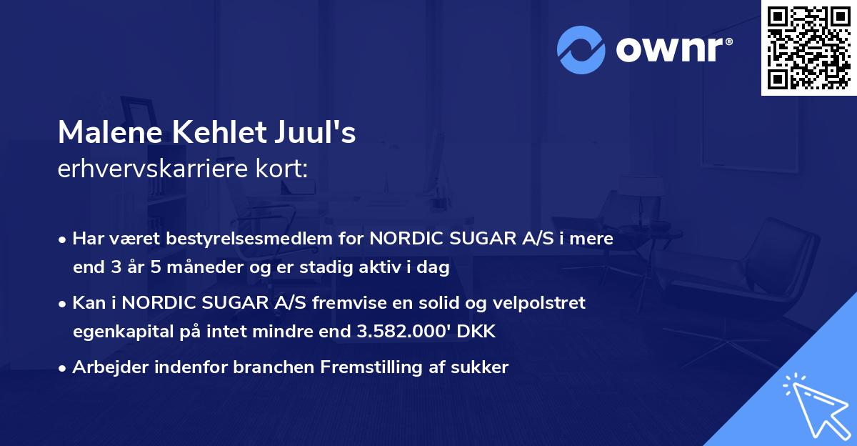 Malene Kehlet Juul's erhvervskarriere kort