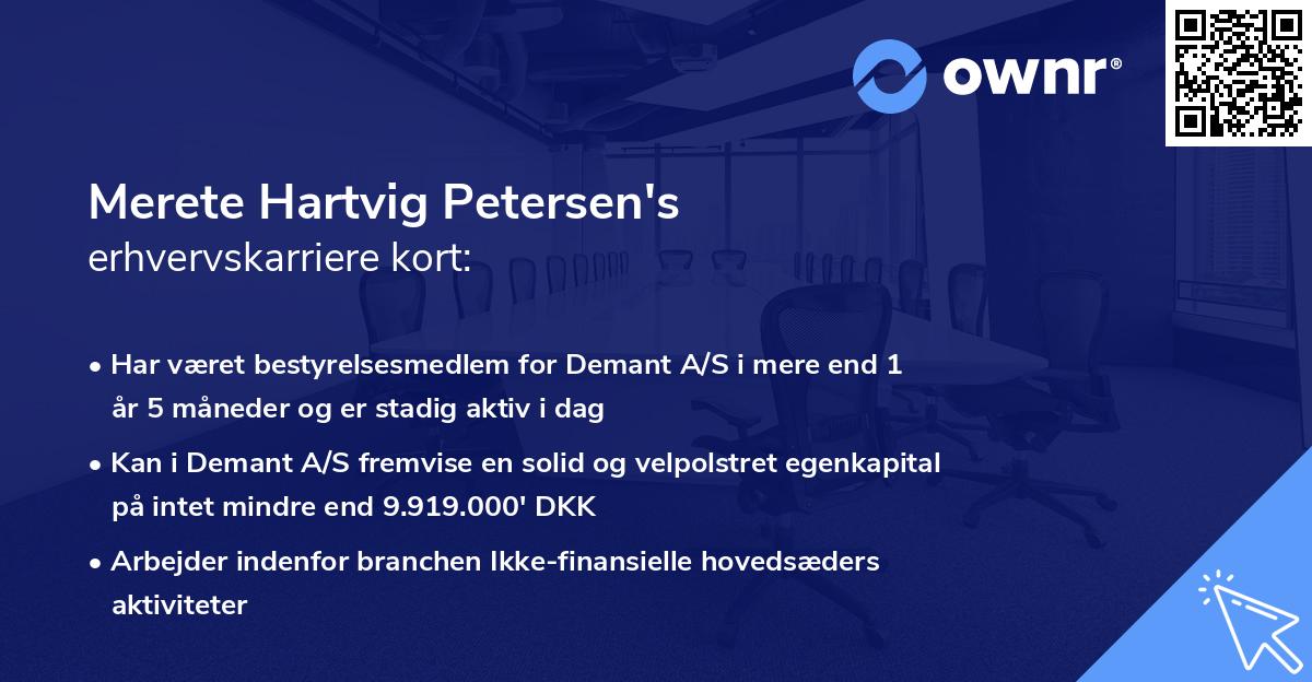 Merete Hartvig Petersen's erhvervskarriere kort