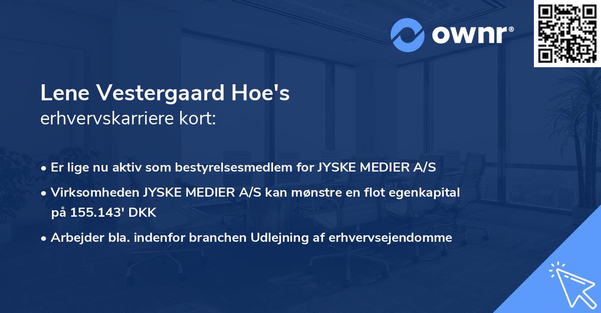 Lene Vestergaard Hoe's erhvervskarriere kort