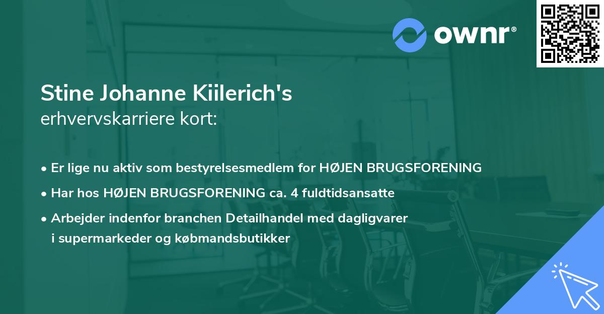 Stine Johanne Kiilerich's erhvervskarriere kort