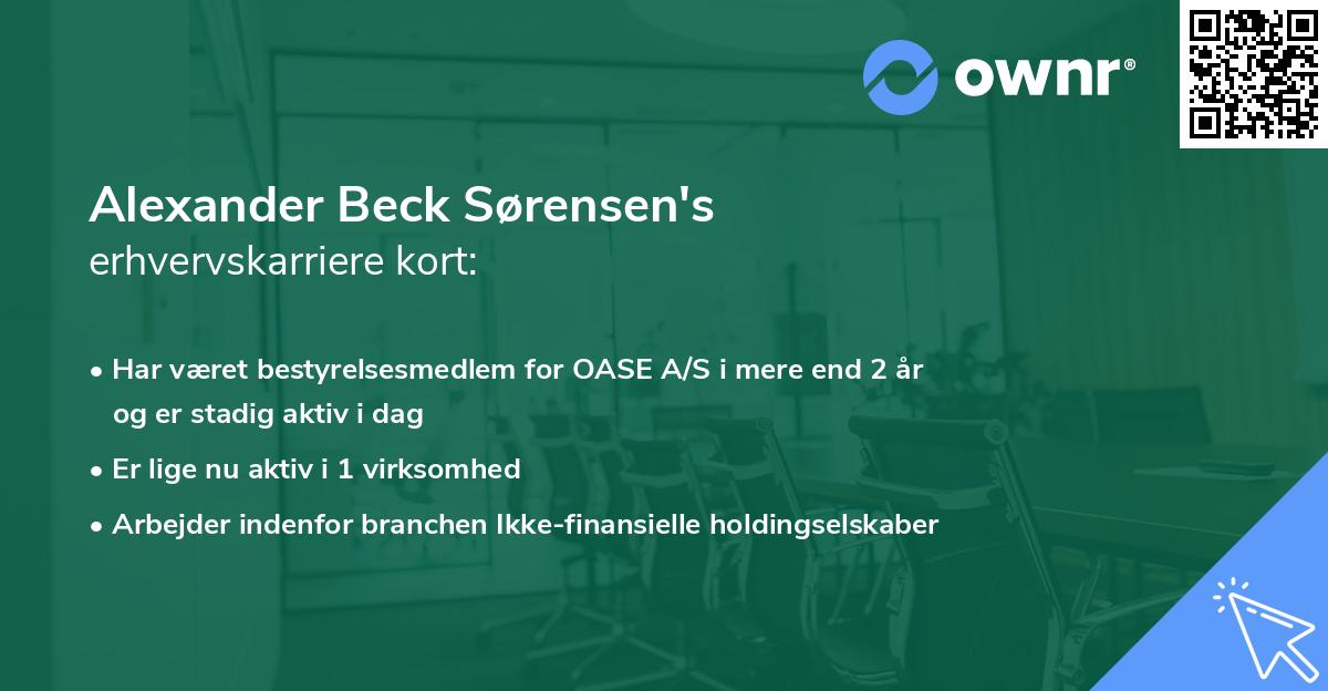 Alexander Beck Sørensen's erhvervskarriere kort