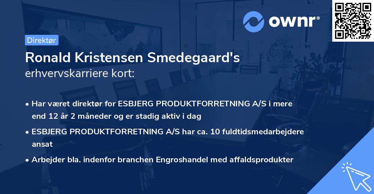Ronald Kristensen Smedegaard's erhvervskarriere kort