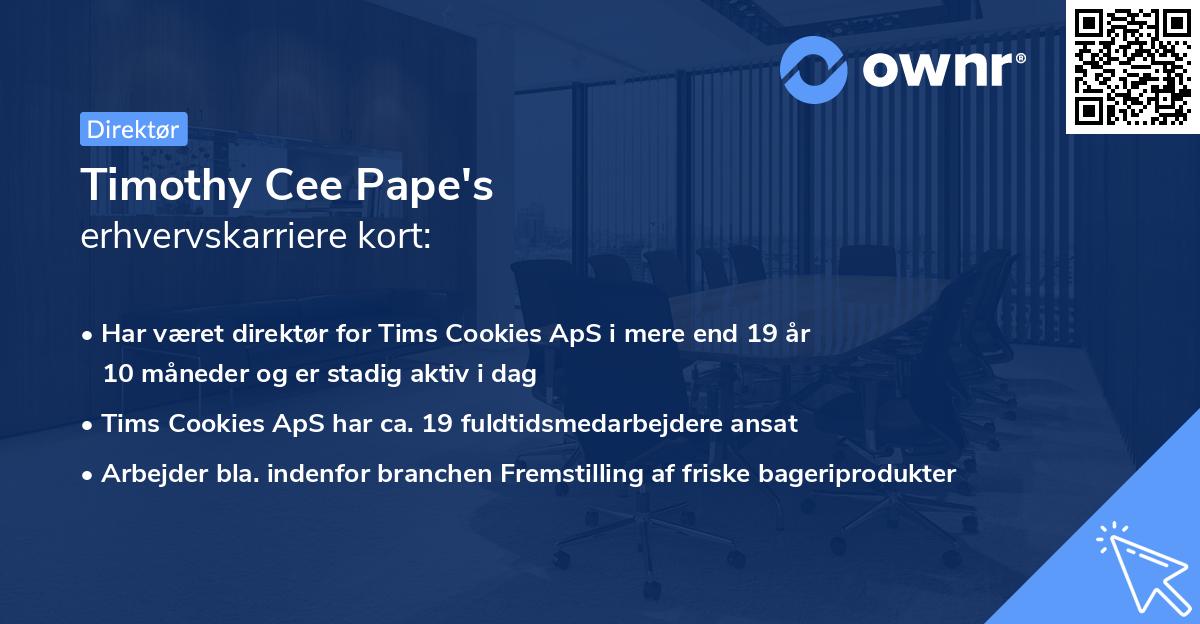 Timothy Cee Pape's erhvervskarriere kort