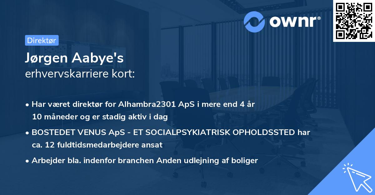 Jørgen Aabye's erhvervskarriere kort