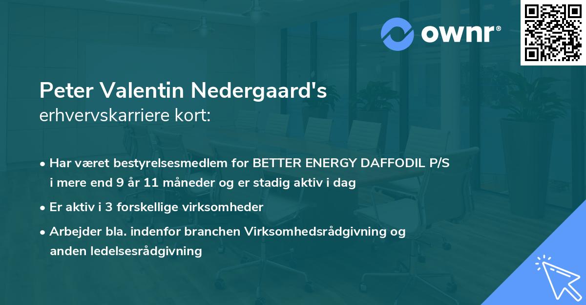 Peter Valentin Nedergaard's erhvervskarriere kort