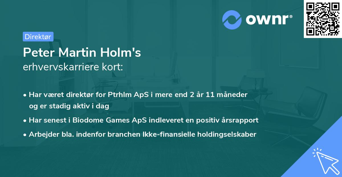 Peter Martin Holm's erhvervskarriere kort