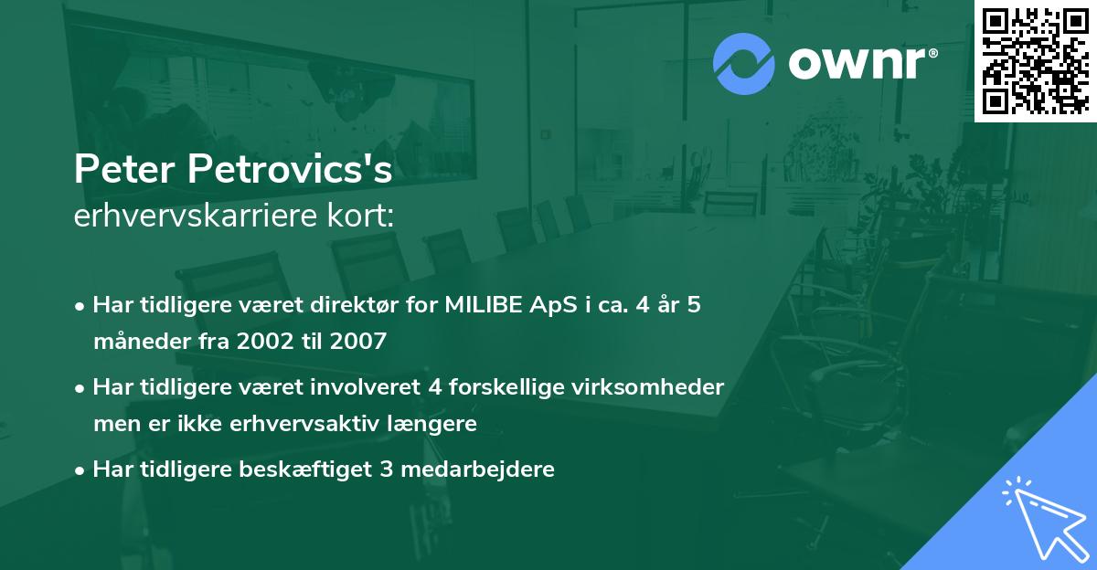 Peter Petrovics's erhvervskarriere kort