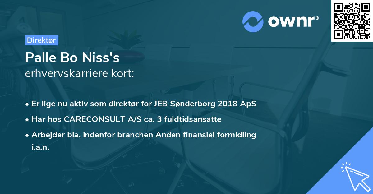 Palle Bo Niss's erhvervskarriere kort