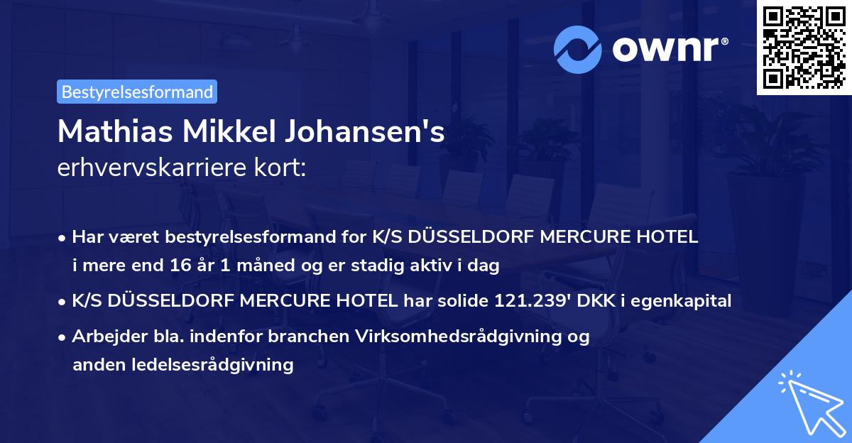 Mathias Mikkel Johansen's erhvervskarriere kort