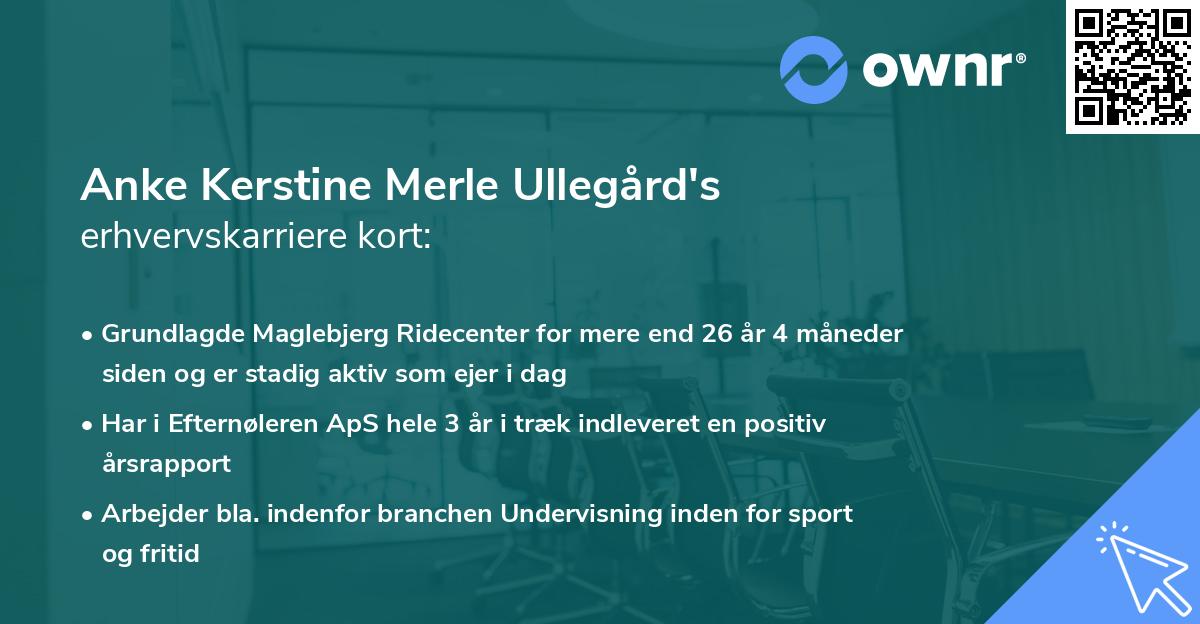 Anke Kerstine Merle Ullegård's erhvervskarriere kort