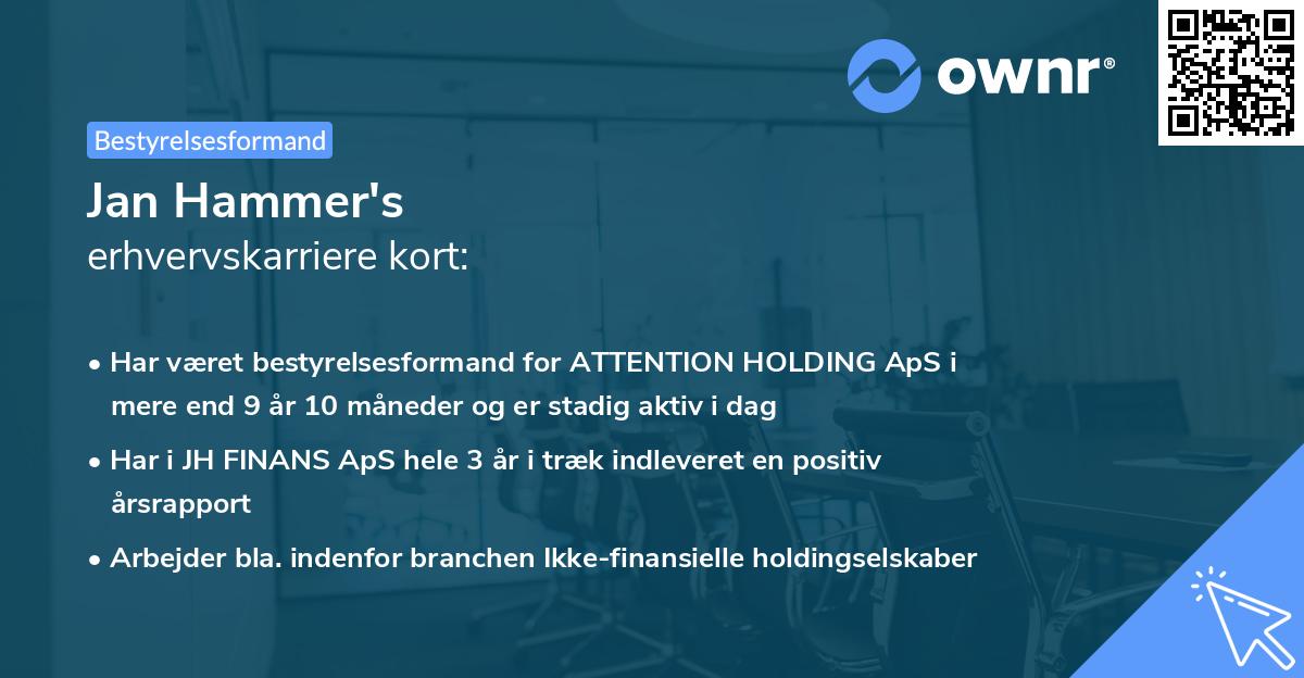 Jan Hammer's erhvervskarriere kort