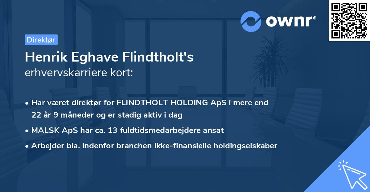 Henrik Eghave Flindtholt's erhvervskarriere kort