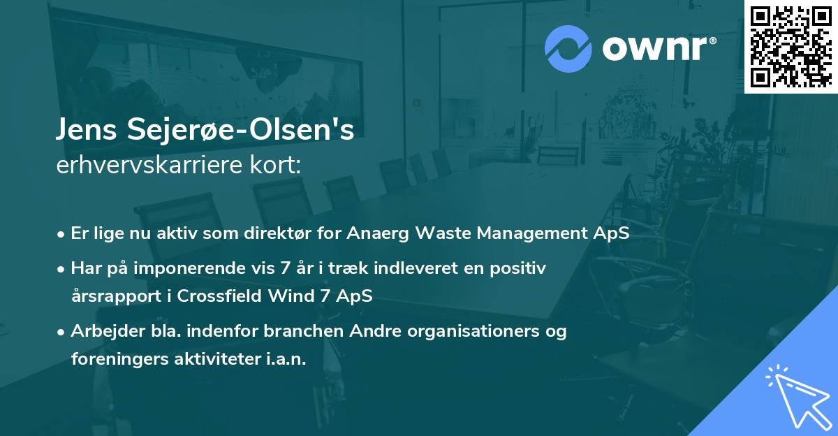 Jens Sejerøe-Olsen's erhvervskarriere kort
