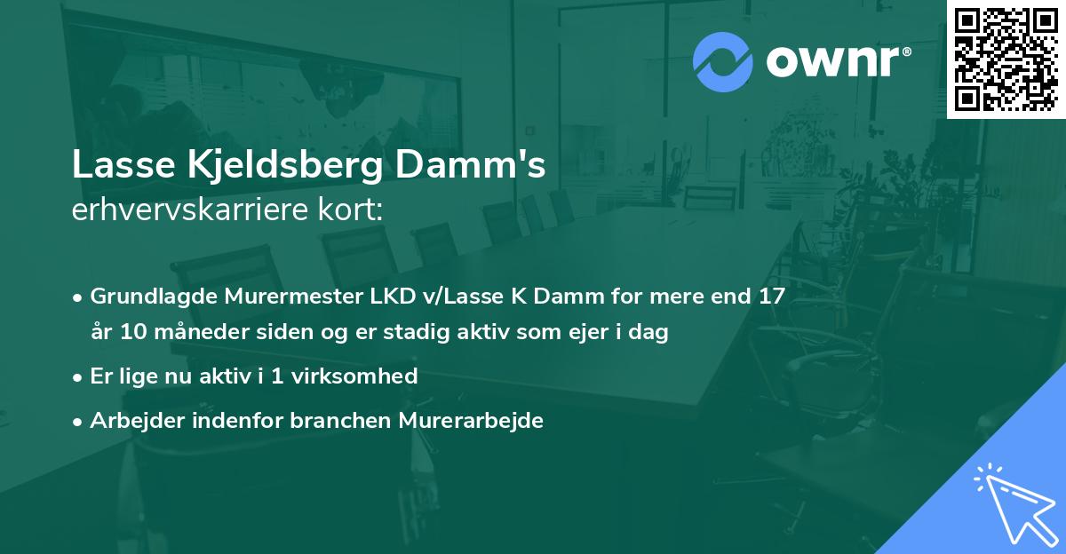 Lasse Kjeldsberg Damm's erhvervskarriere kort