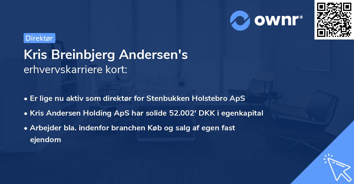 Kris Breinbjerg Andersen's erhvervskarriere kort