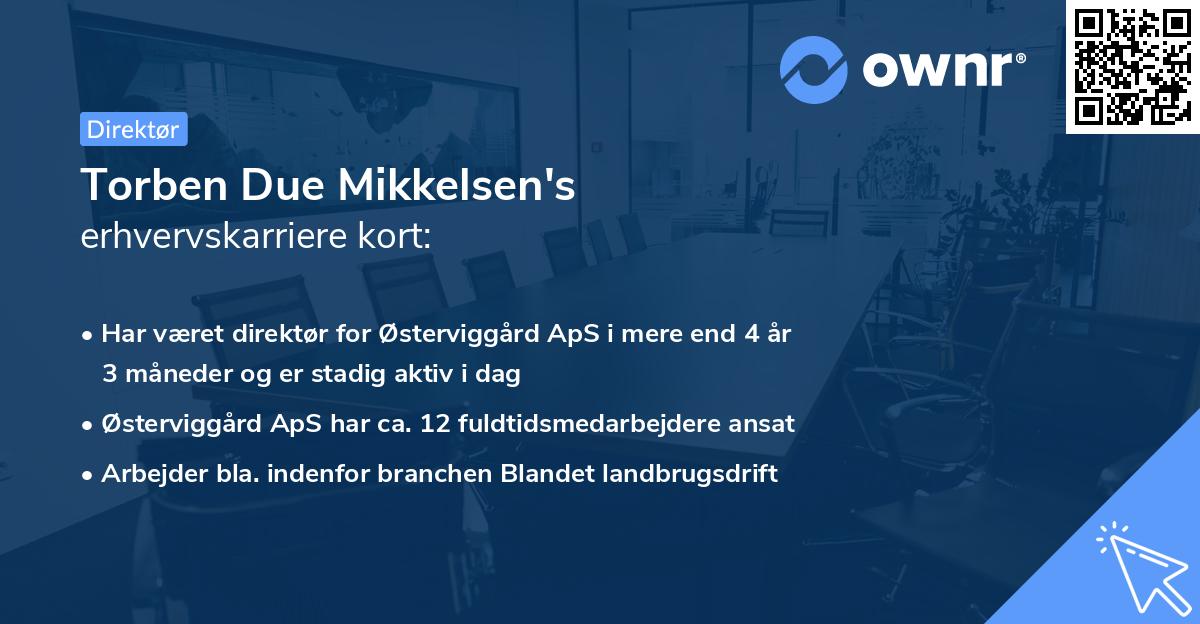 Torben Due Mikkelsen's erhvervskarriere kort
