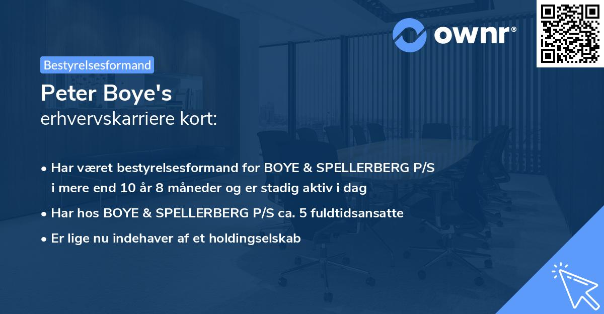 Peter Boye's erhvervskarriere kort