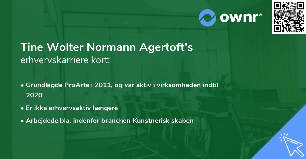 Tine Wolter Normann Agertoft's erhvervskarriere kort