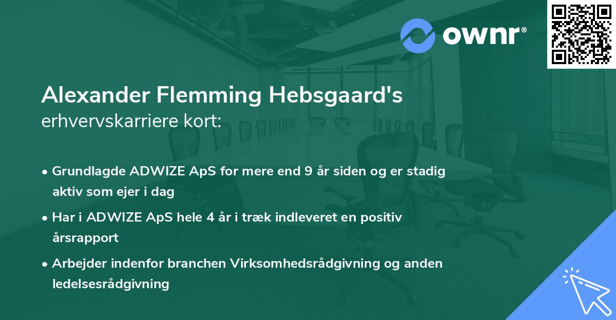 Alexander Flemming Hebsgaard's erhvervskarriere kort