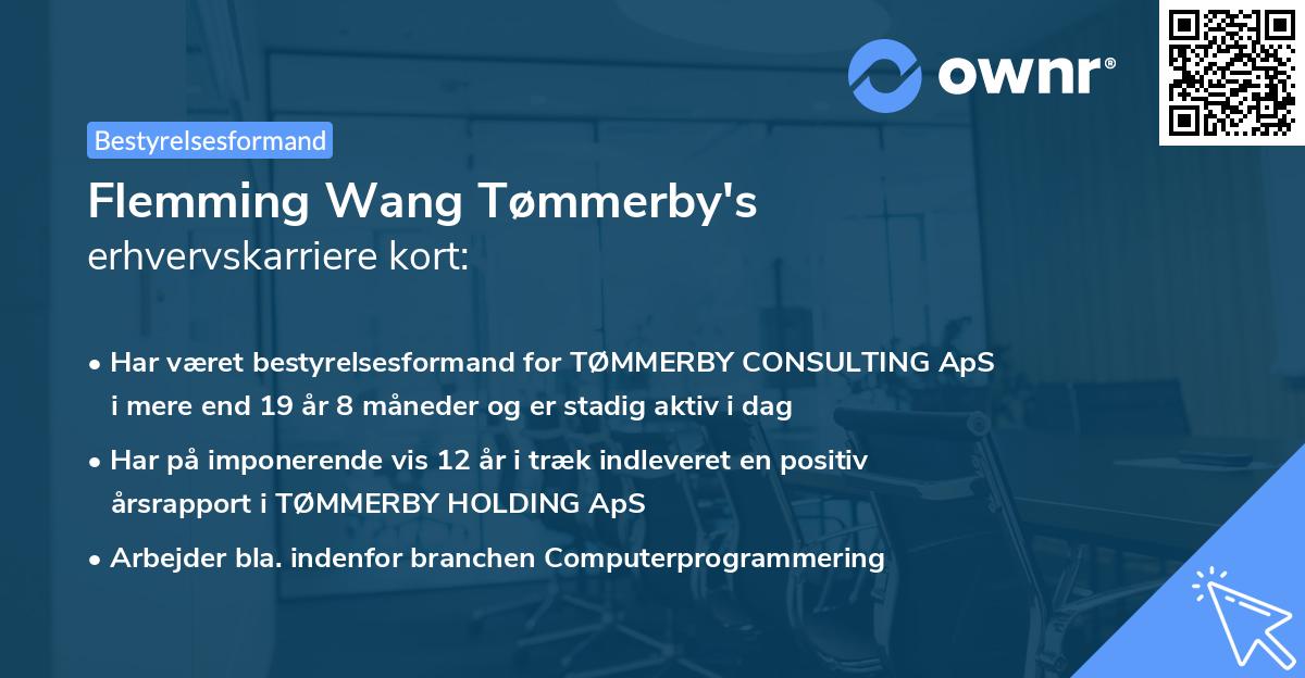 Flemming Wang Tømmerby's erhvervskarriere kort