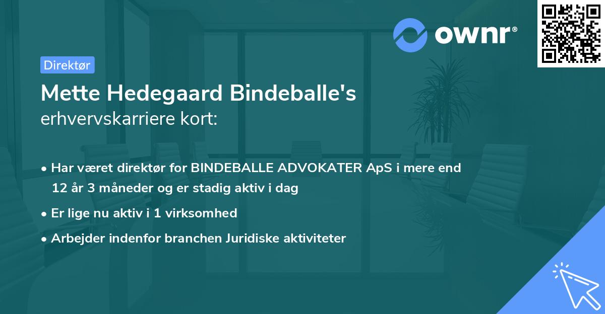 Mette Hedegaard Bindeballe's erhvervskarriere kort