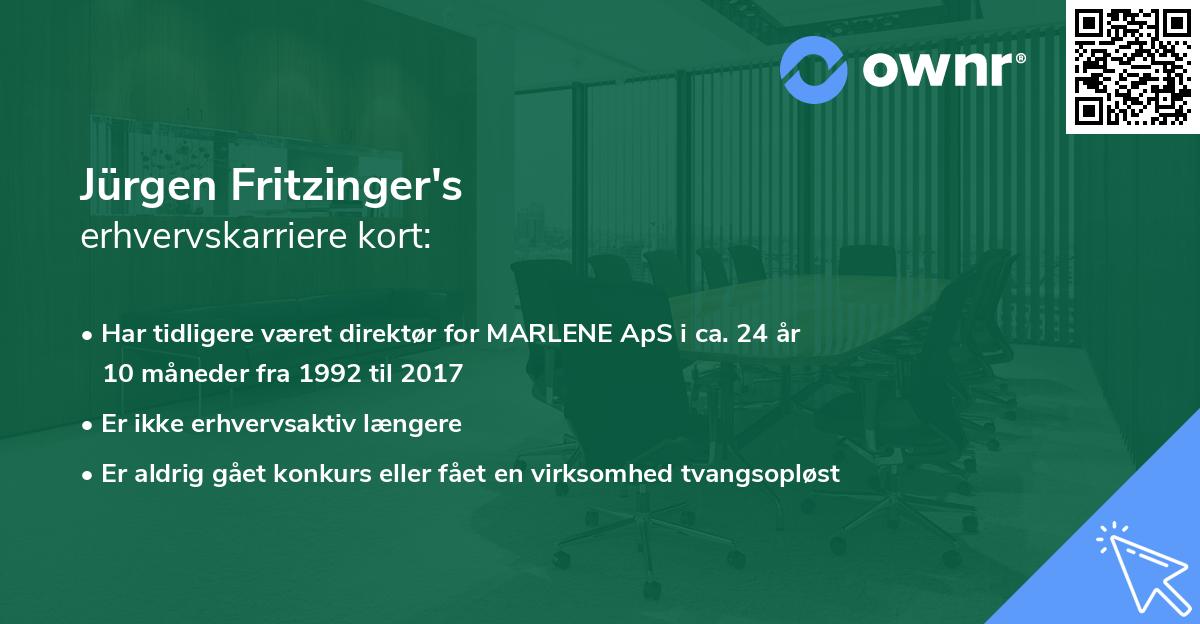 Jürgen Fritzinger's erhvervskarriere kort