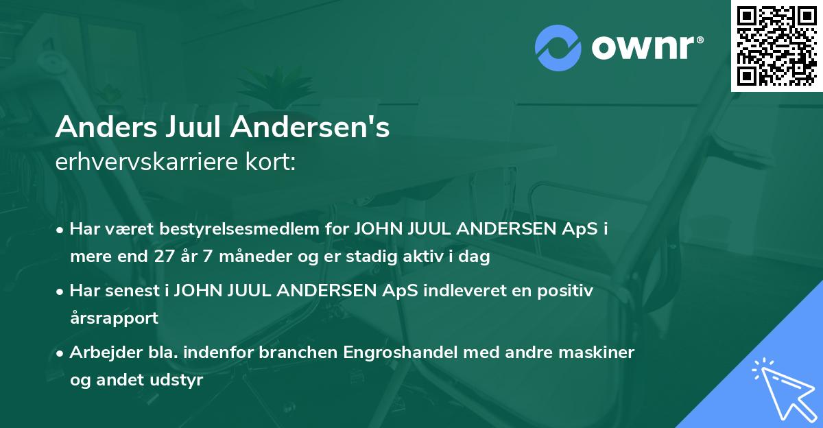 Anders Juul Andersen's erhvervskarriere kort