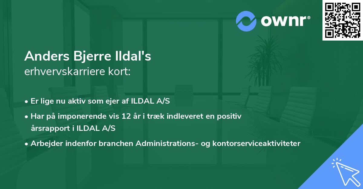 Anders Bjerre Ildal's erhvervskarriere kort