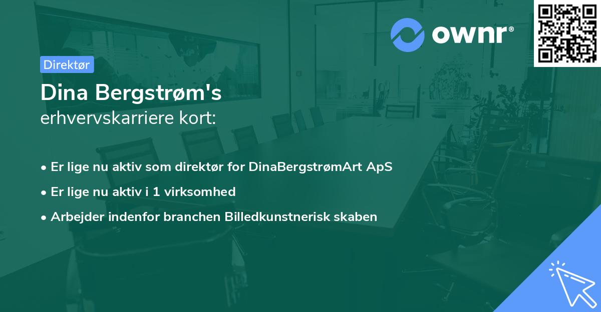 Dina Bergstrøm's erhvervskarriere kort