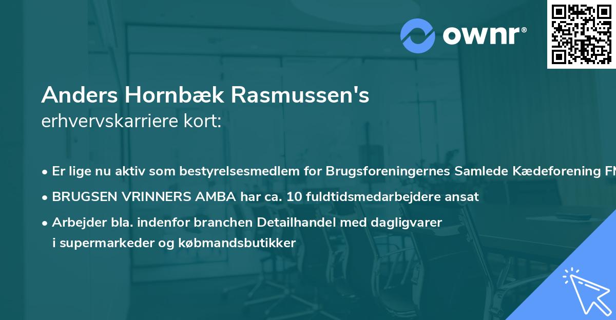 Anders Hornbæk Rasmussen's erhvervskarriere kort