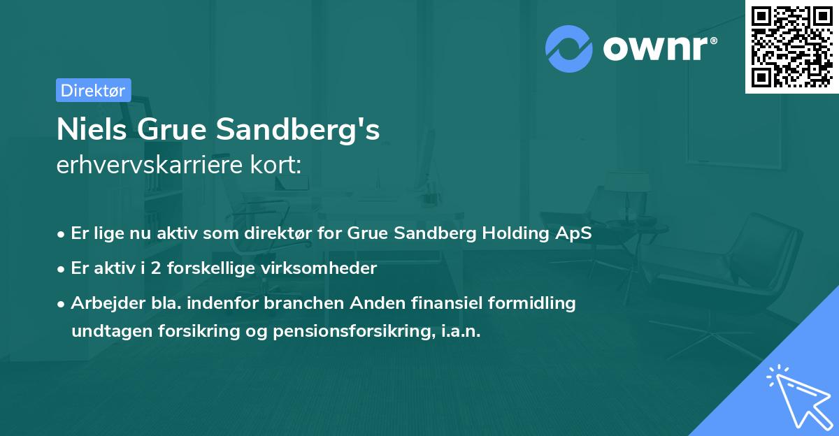 Niels Grue Sandberg's erhvervskarriere kort