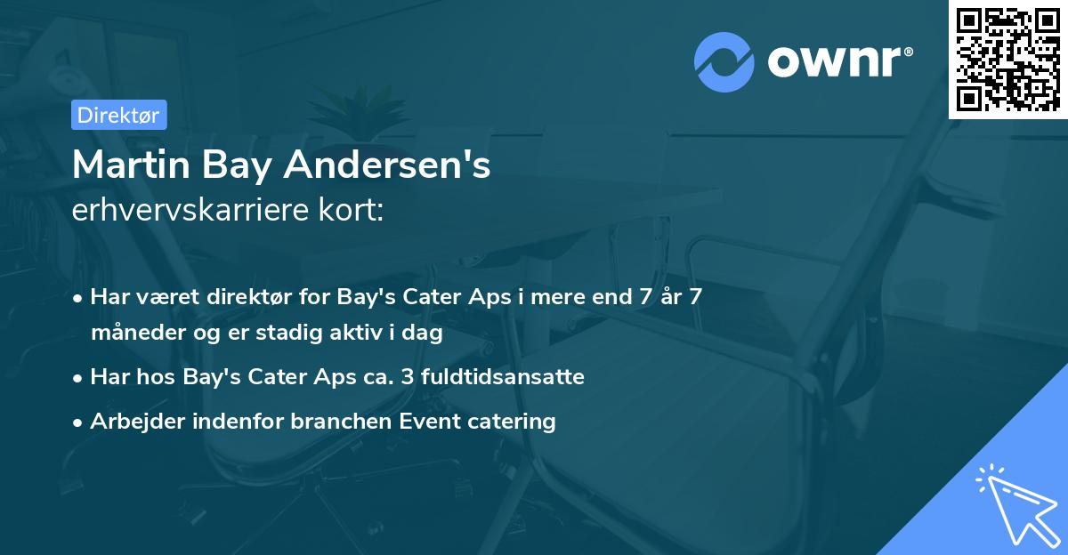 Martin Bay Andersen's erhvervskarriere kort