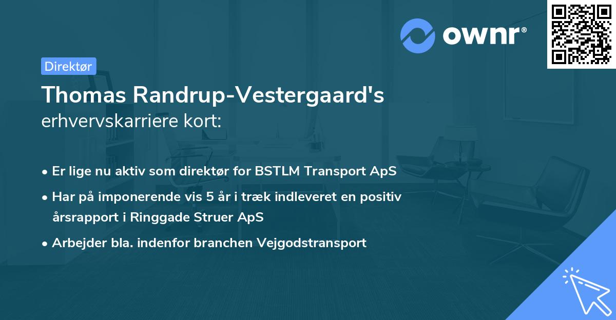 Thomas Randrup-Vestergaard's erhvervskarriere kort