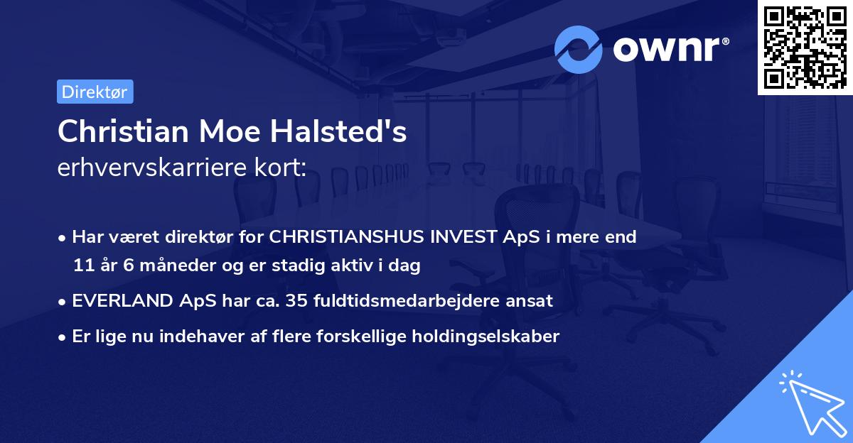 Christian Moe Halsted's erhvervskarriere kort