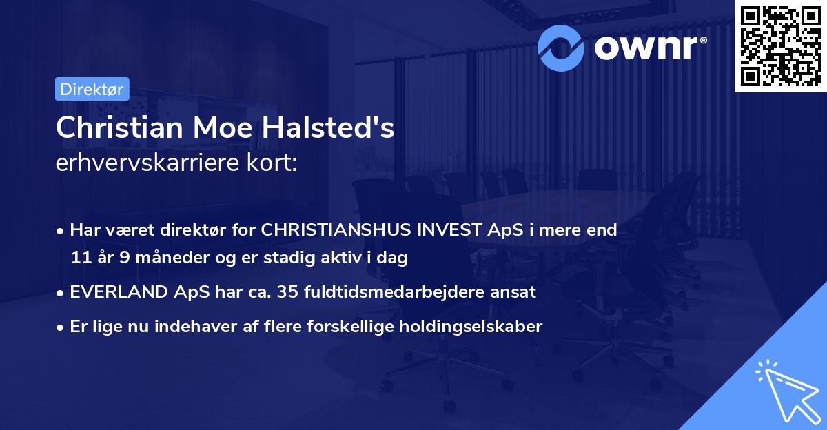 Christian Moe Halsted's erhvervskarriere kort