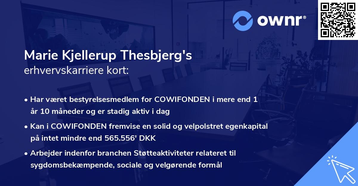 Marie Kjellerup Thesbjerg's erhvervskarriere kort