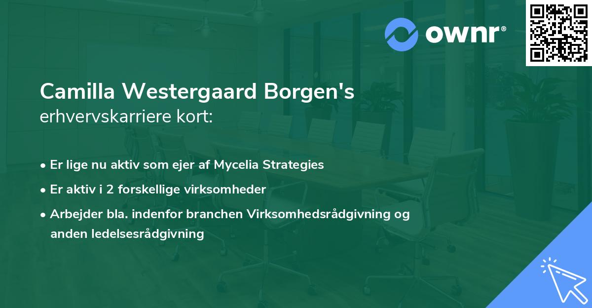 Camilla Westergaard Borgen's erhvervskarriere kort