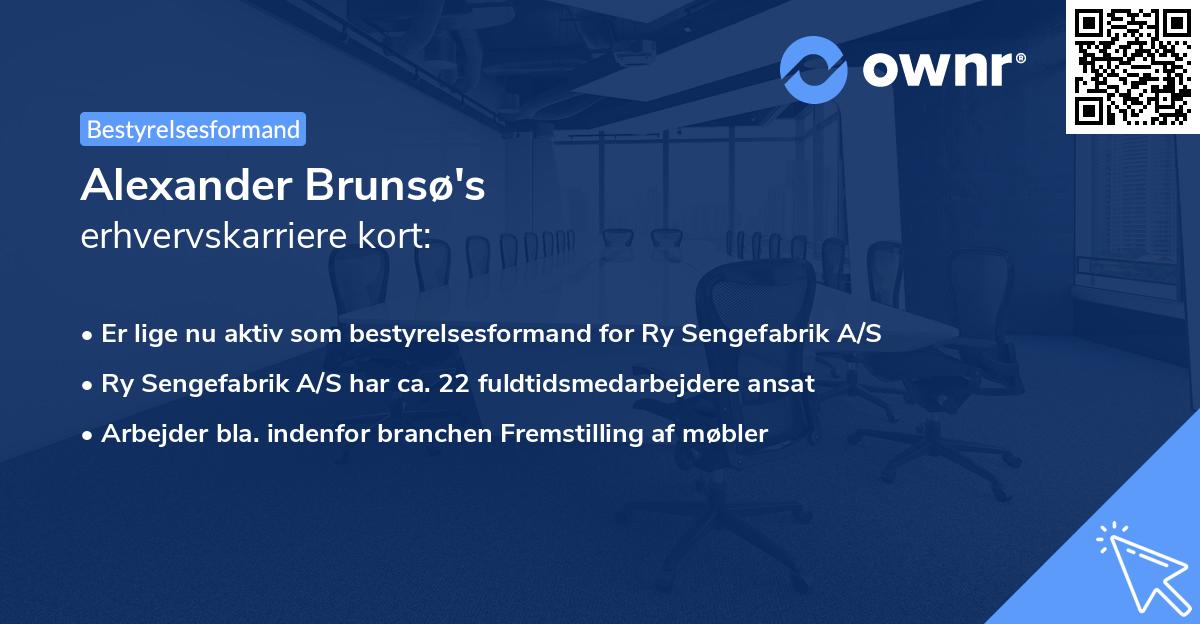 Alexander Brunsø's erhvervskarriere kort