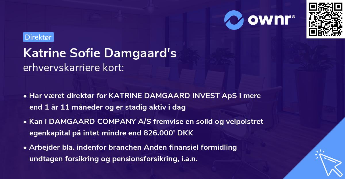 Katrine Sofie Damgaard's erhvervskarriere kort