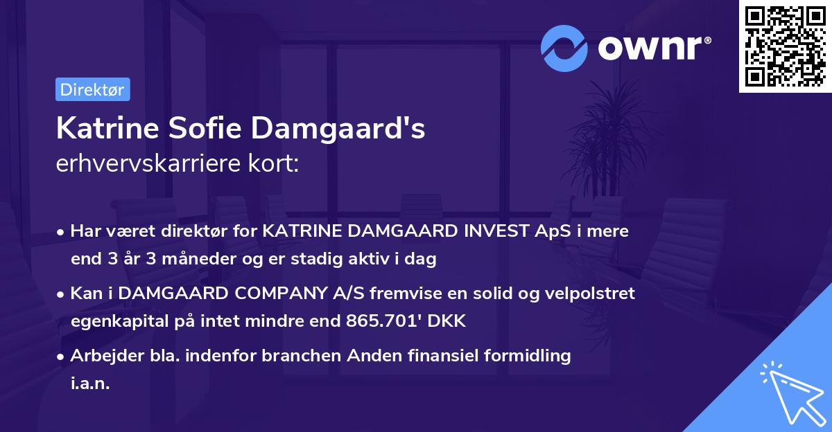 Katrine Sofie Damgaard's erhvervskarriere kort