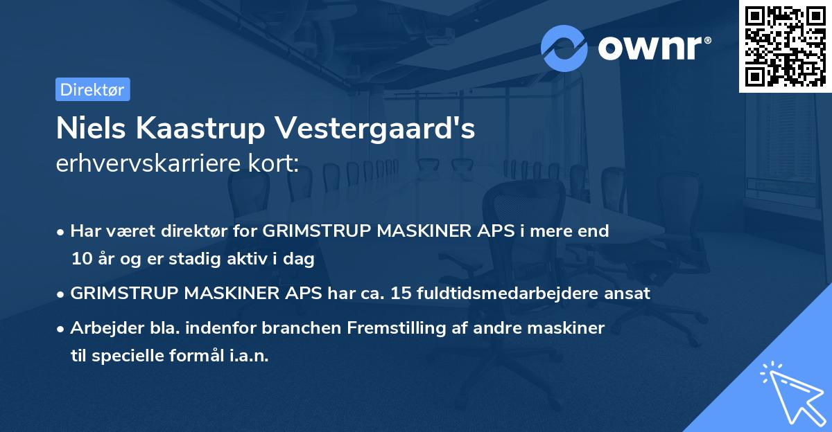 Niels Kaastrup Vestergaard's erhvervskarriere kort