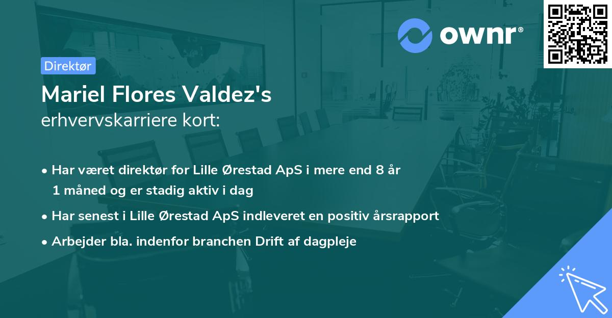Mariel Flores Valdez's erhvervskarriere kort